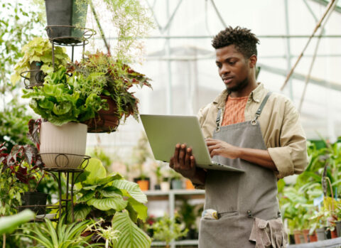A plant shop owner checking his email on a laptop.