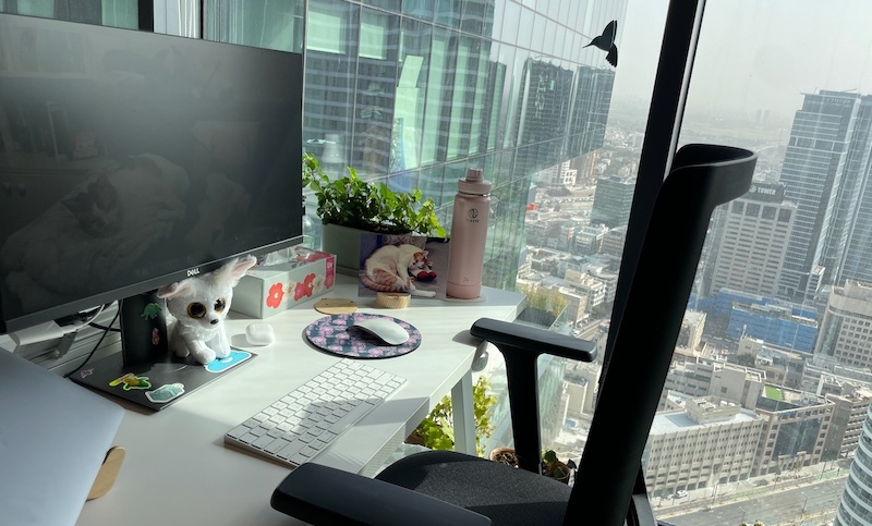 An office desk with a laptop, a potted plant, and various personal items near a window with a view of the city.